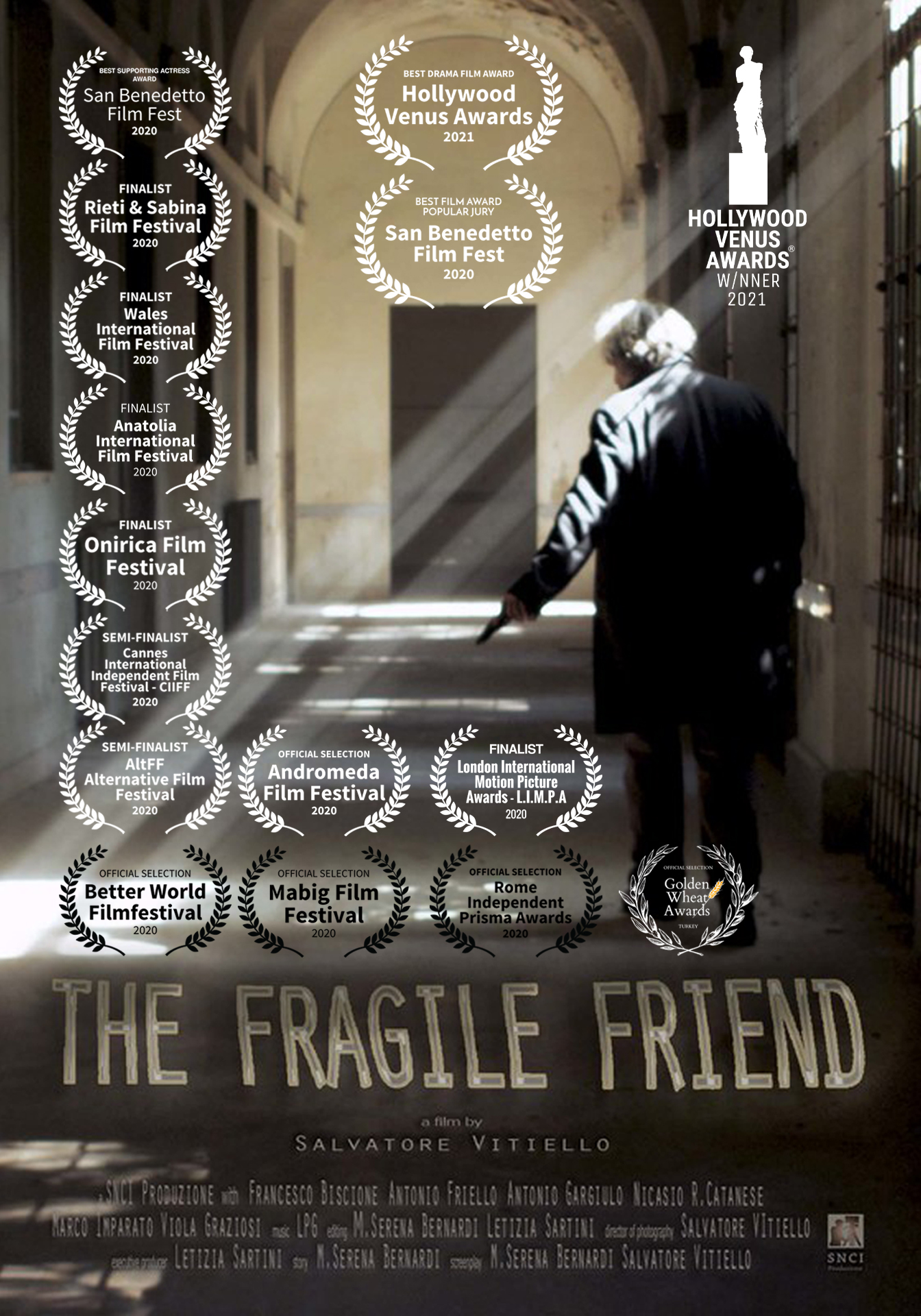 The Fragile Friend (2016) постер