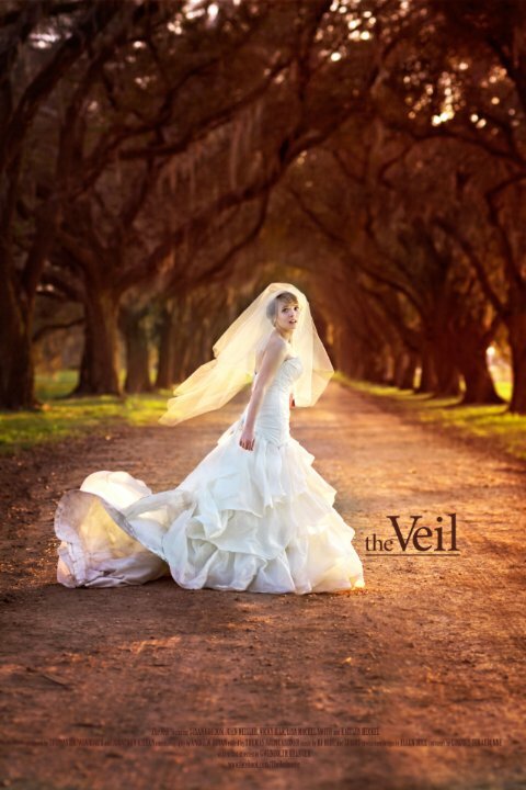 The Veil (2014) постер
