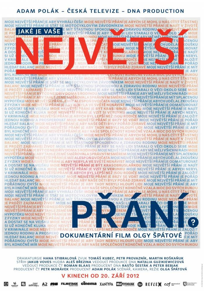 Nejvetsí prání 3 (2012) постер