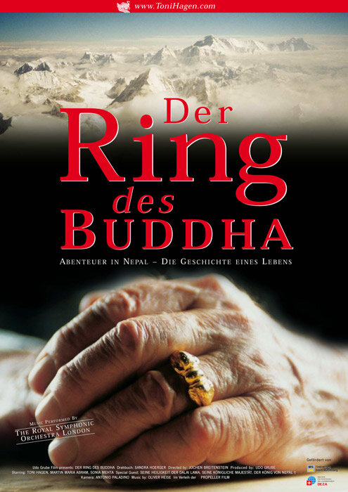 Кольцо будды (2002) постер