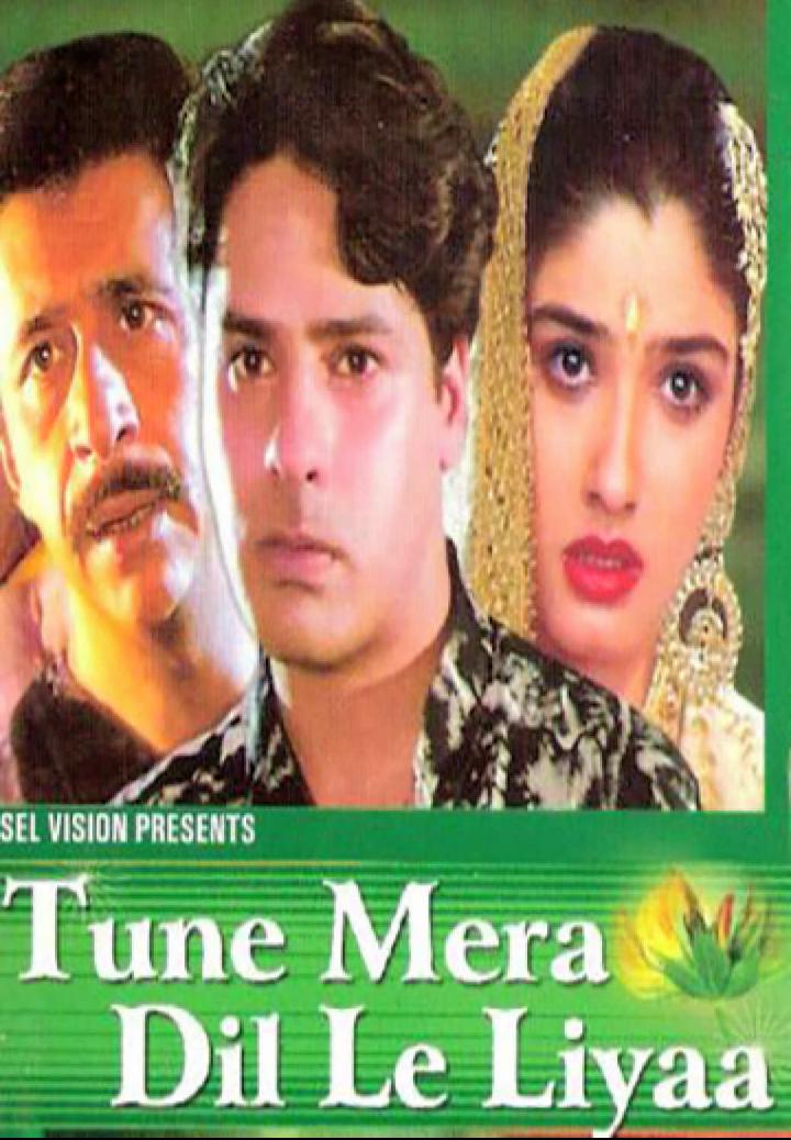 Tune Mera Dil Le Liyaa (2000) постер