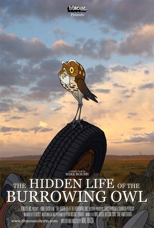 The Hidden Life of the Burrowing Owl (2008) постер