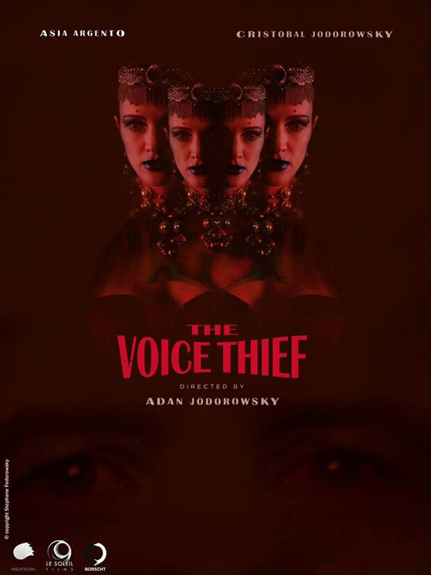 Похититель голоса (2013) постер