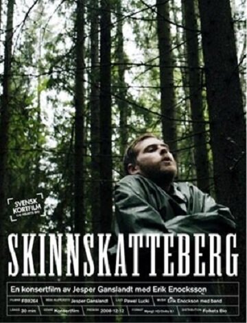Скиннскаттеберг (2008) постер