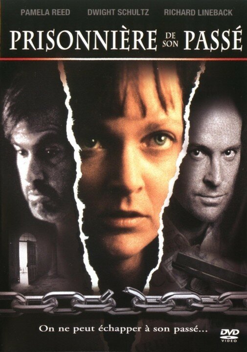 Женщина с прошлым (1992) постер