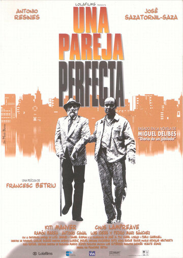 Una pareja perfecta (1998)