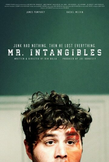 Mr. Intangibles (2015)