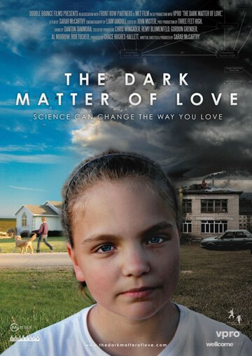 Темная материя любви (2012)