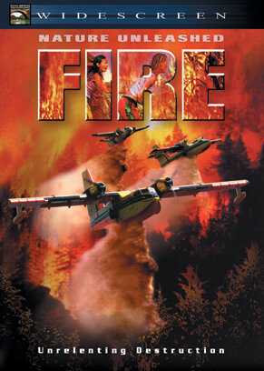 Стихия огня (2004)
